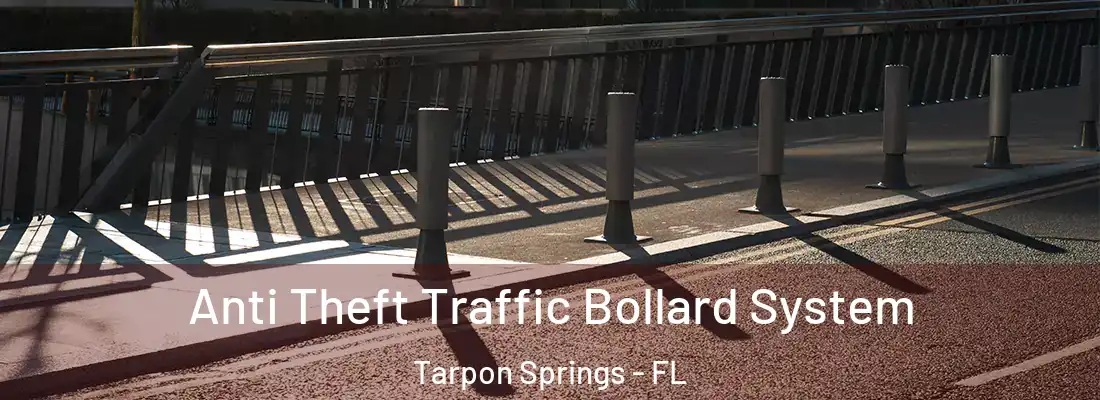 Anti Theft Traffic Bollard System Tarpon Springs - FL
