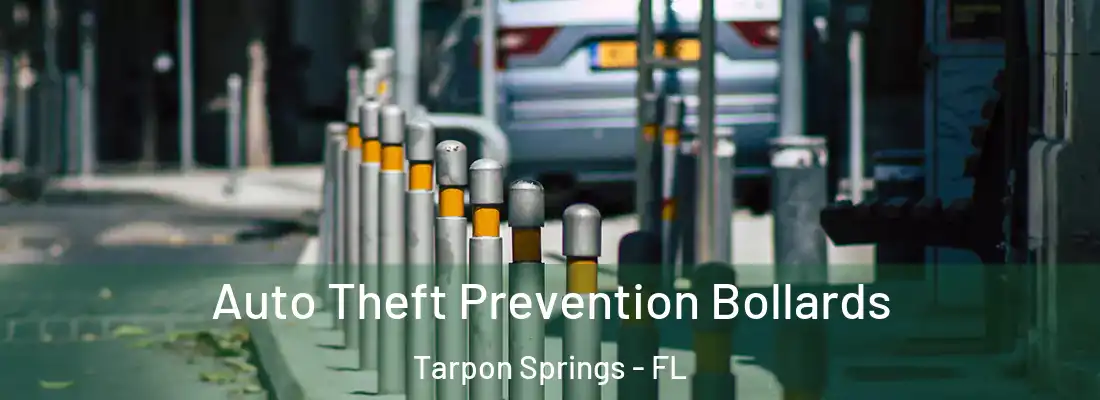 Auto Theft Prevention Bollards Tarpon Springs - FL