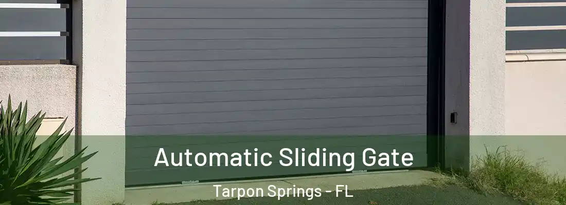 Automatic Sliding Gate Tarpon Springs - FL