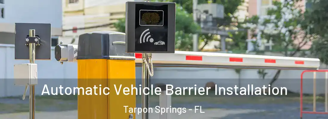 Automatic Vehicle Barrier Installation Tarpon Springs - FL