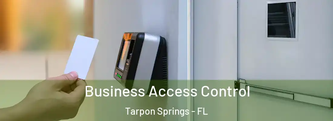 Business Access Control Tarpon Springs - FL