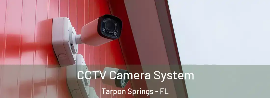 CCTV Camera System Tarpon Springs - FL