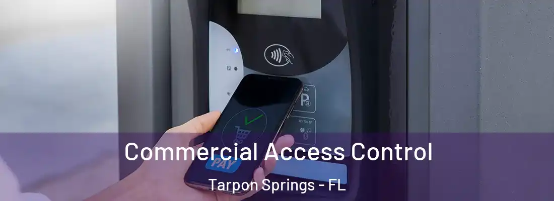 Commercial Access Control Tarpon Springs - FL