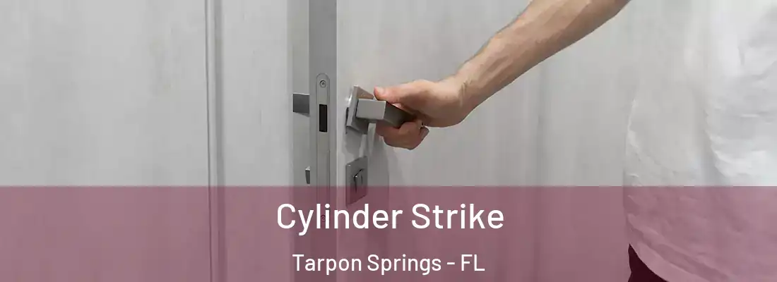 Cylinder Strike Tarpon Springs - FL