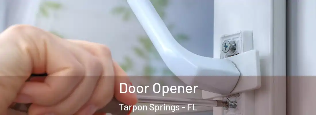 Door Opener Tarpon Springs - FL
