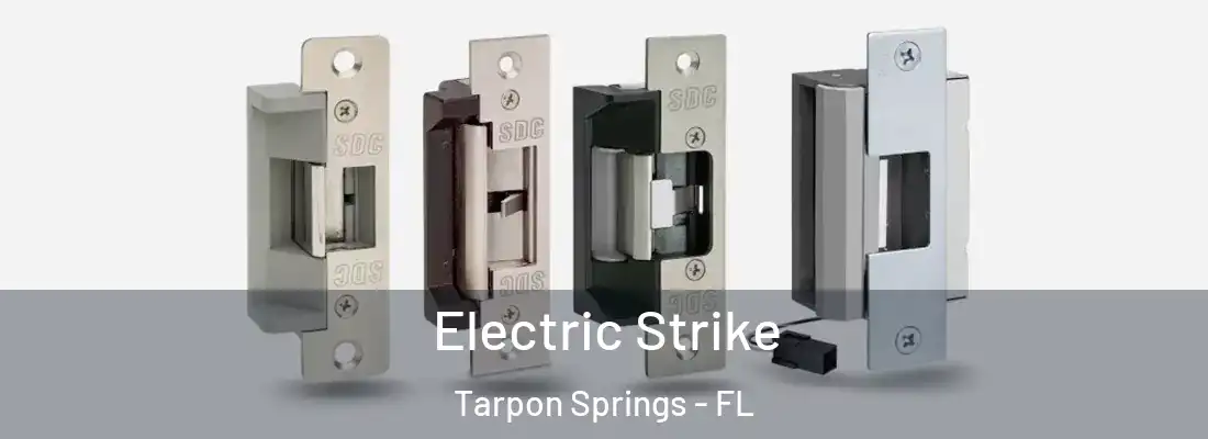 Electric Strike Tarpon Springs - FL
