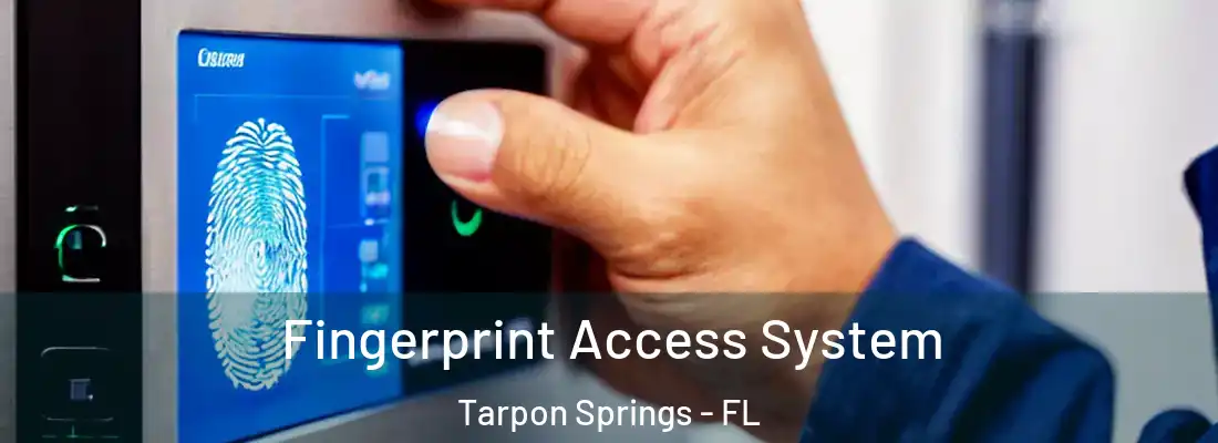 Fingerprint Access System Tarpon Springs - FL