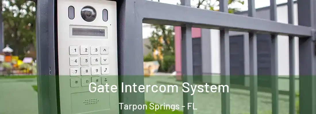 Gate Intercom System Tarpon Springs - FL