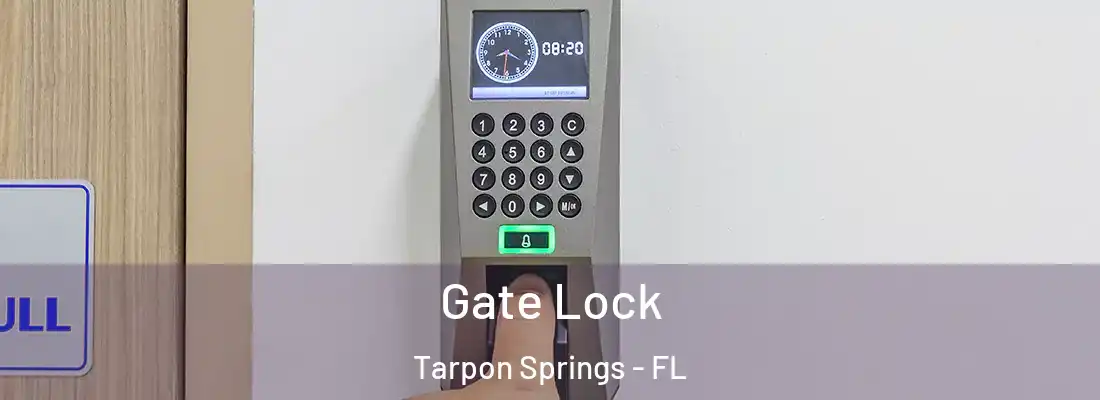 Gate Lock Tarpon Springs - FL