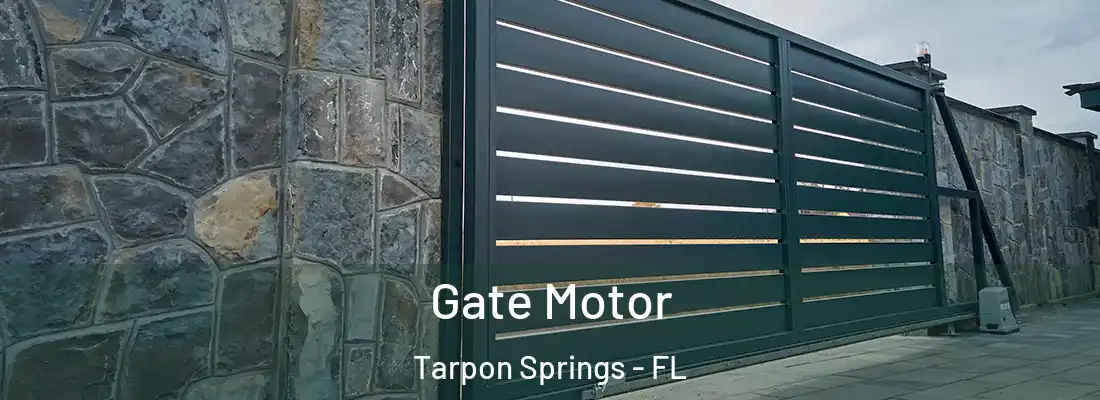Gate Motor Tarpon Springs - FL
