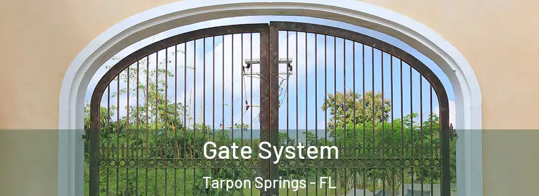 Gate System Tarpon Springs - FL