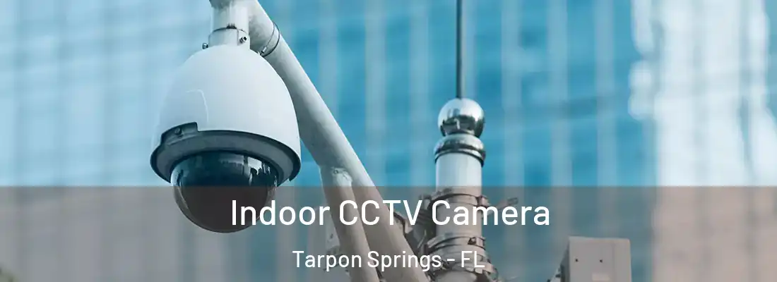 Indoor CCTV Camera Tarpon Springs - FL