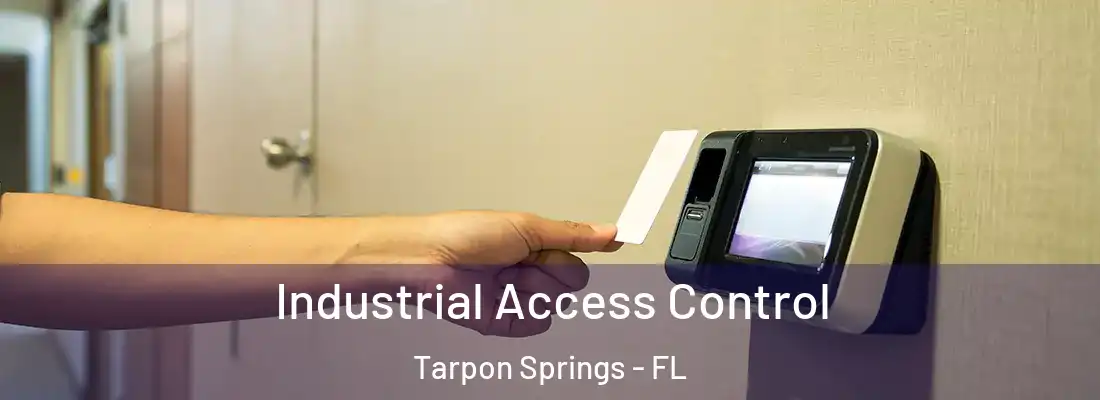 Industrial Access Control Tarpon Springs - FL