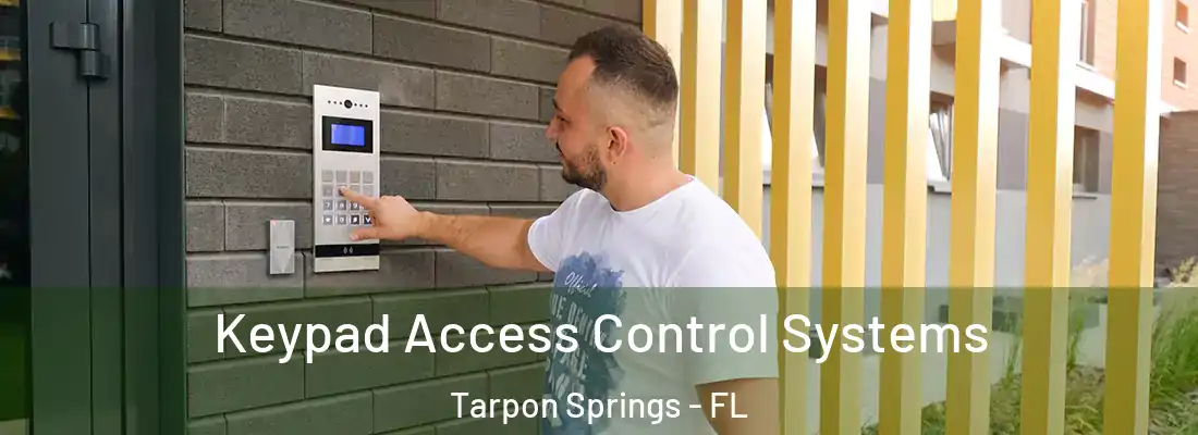 Keypad Access Control Systems Tarpon Springs - FL