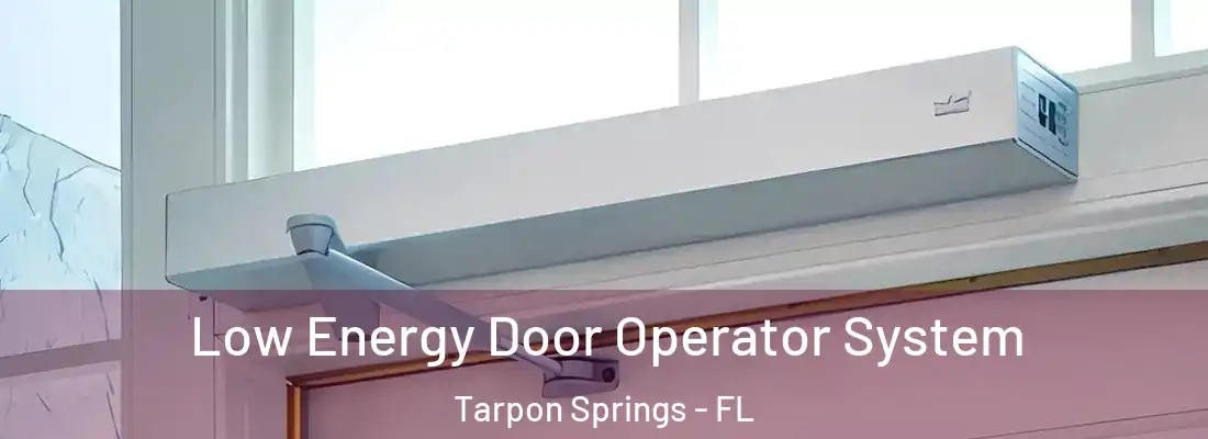 Low Energy Door Operator System Tarpon Springs - FL