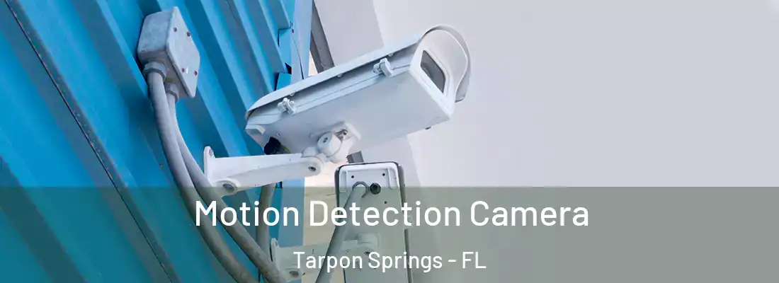 Motion Detection Camera Tarpon Springs - FL