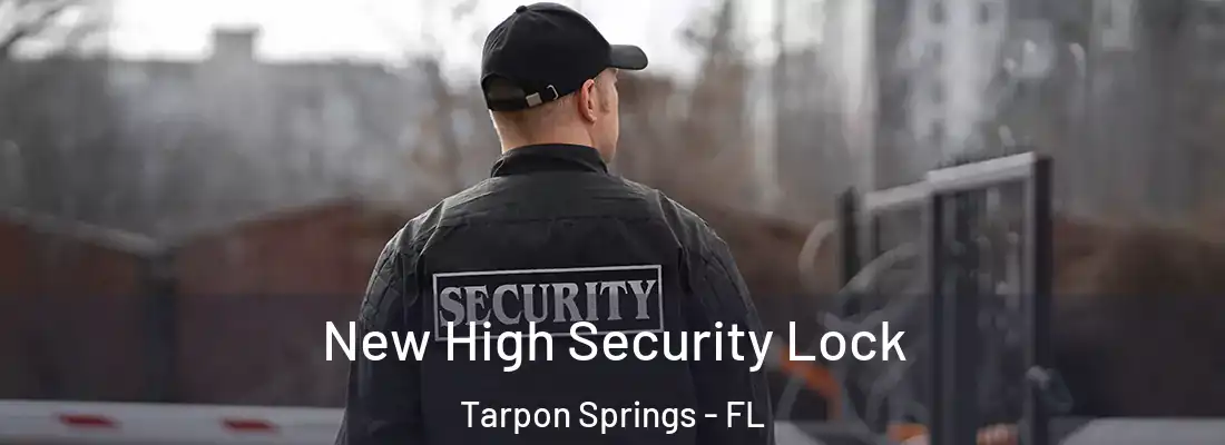 New High Security Lock Tarpon Springs - FL
