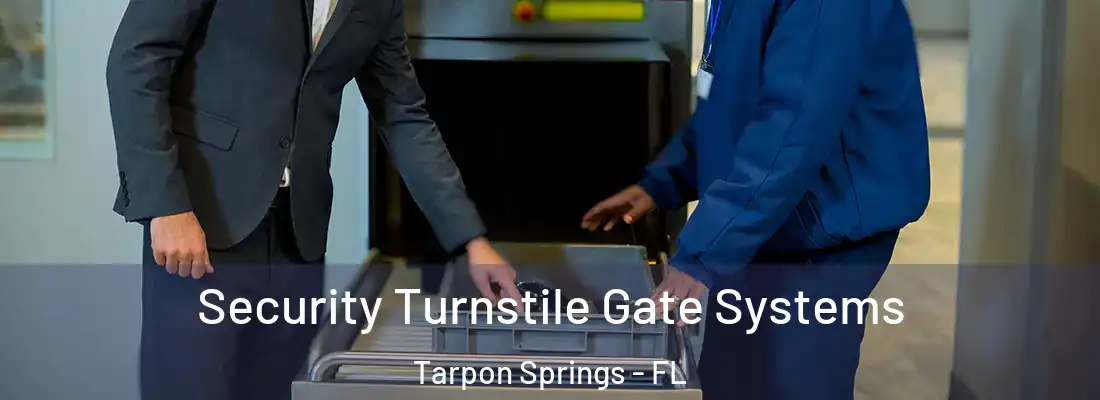 Security Turnstile Gate Systems Tarpon Springs - FL