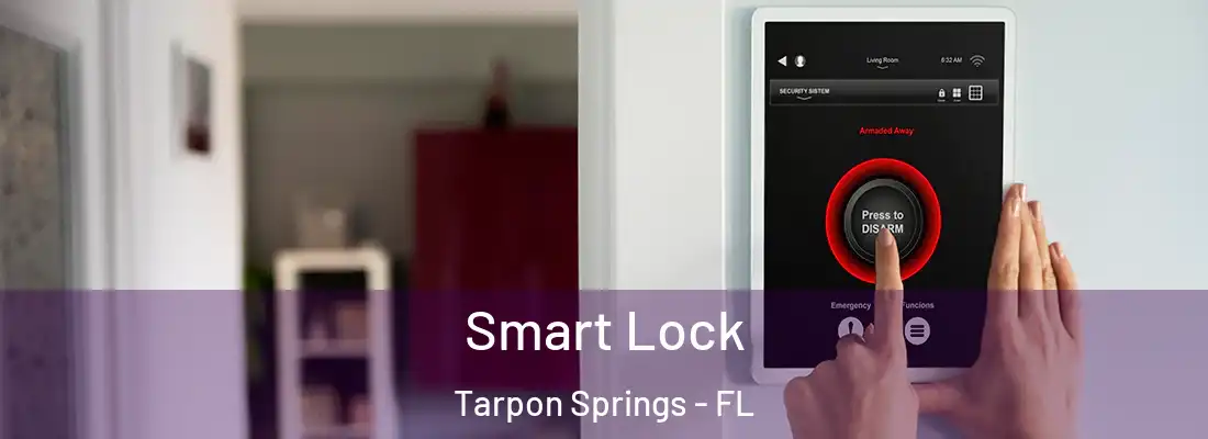 Smart Lock Tarpon Springs - FL