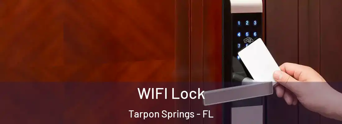 WIFI Lock Tarpon Springs - FL